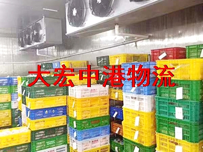 香港冷凍食品運(yùn)輸-冷凍燉湯香港運(yùn)輸-冷凍點心肉丸冷藏冷鏈出口香港